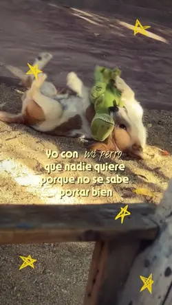 Mi perrijo