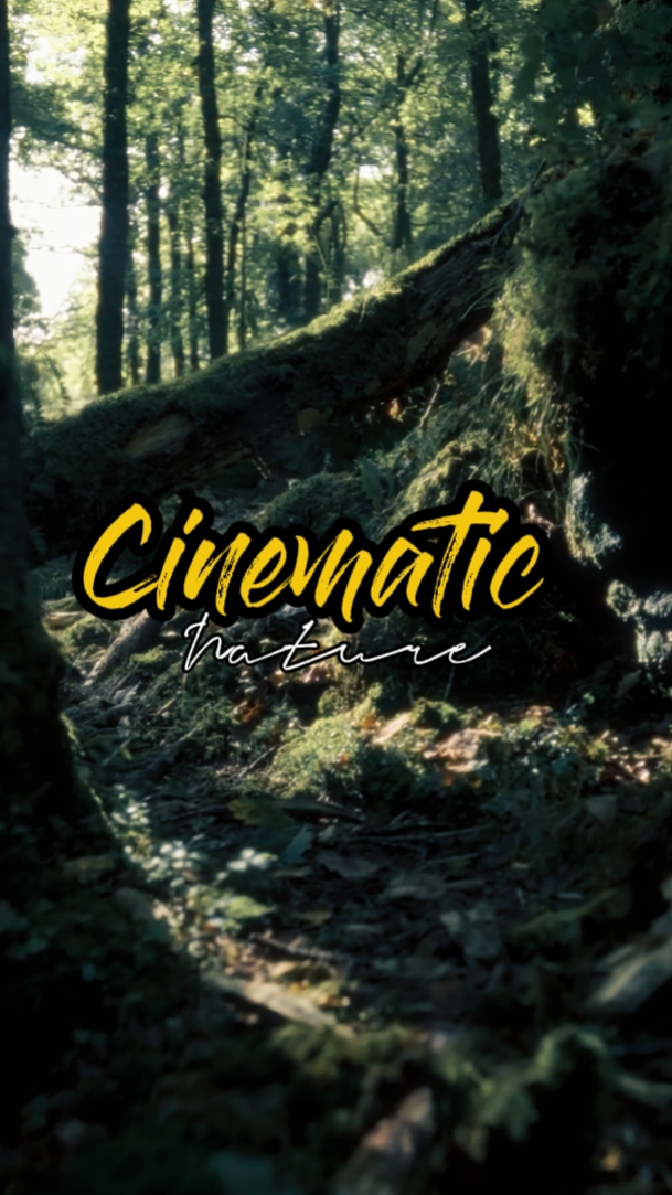 cinematic nature 