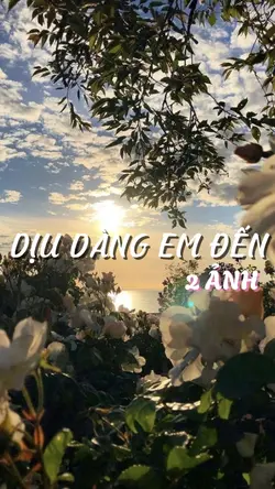 Dịu dàng em đến