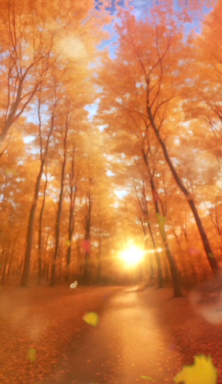 Les feuilles d'automne tombent