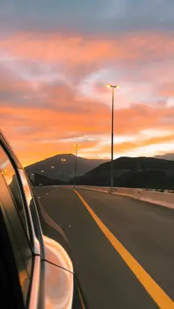 avicii said