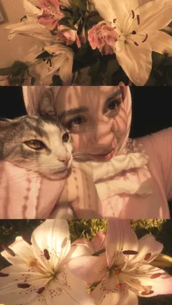 ~
