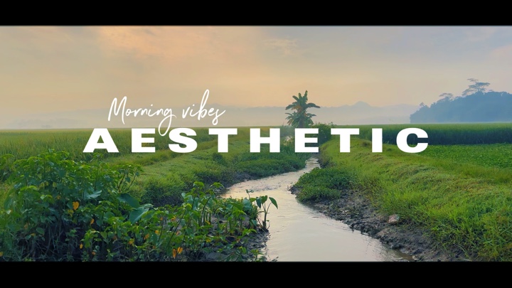 Aesthetic 14 klip