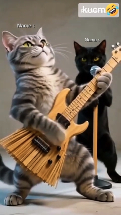 Gato cantando 