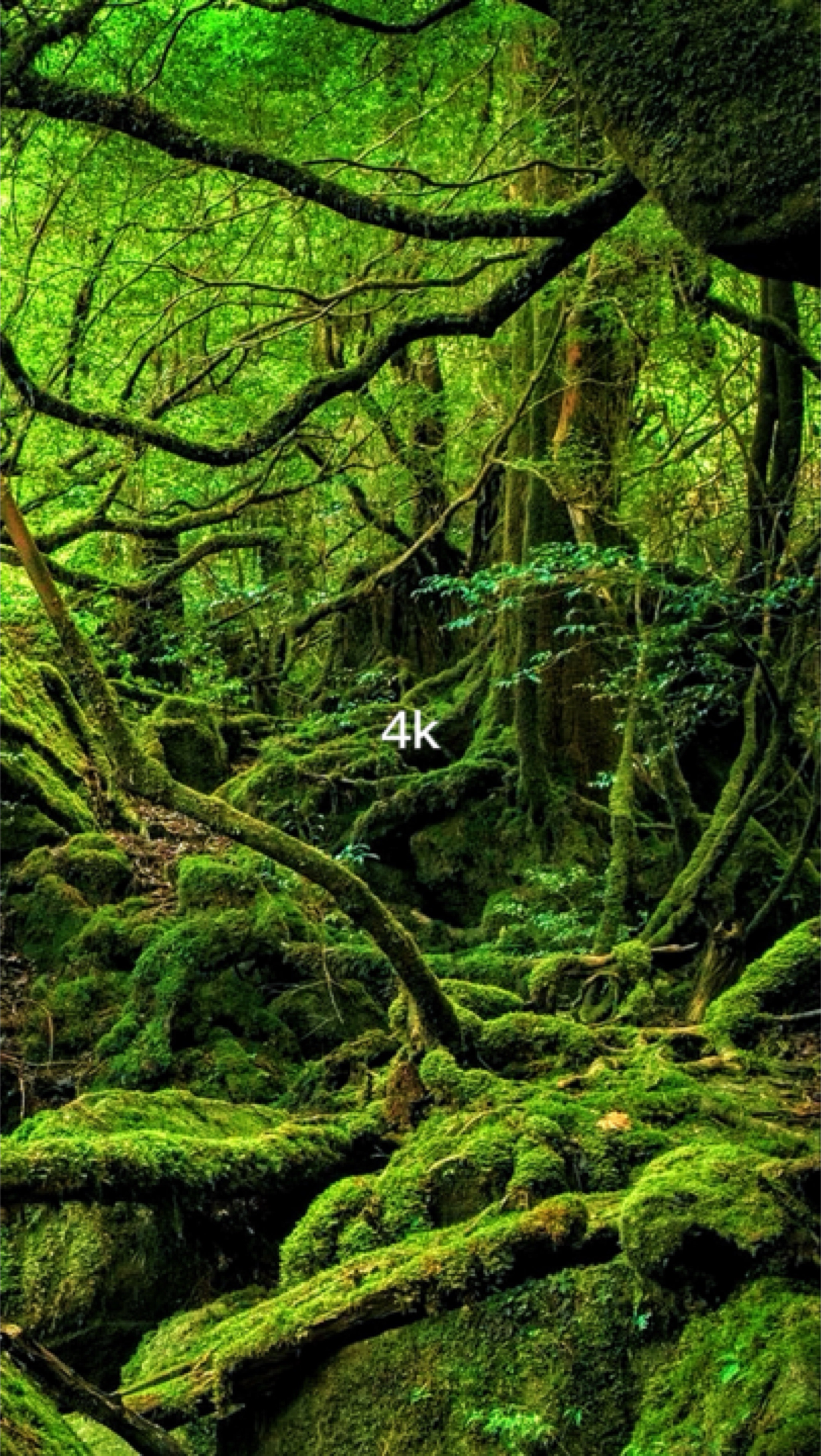 144p vs 4k