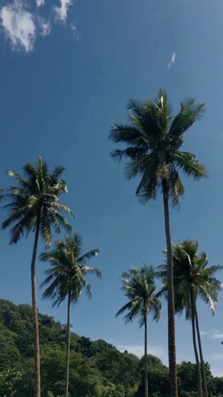 Natureza