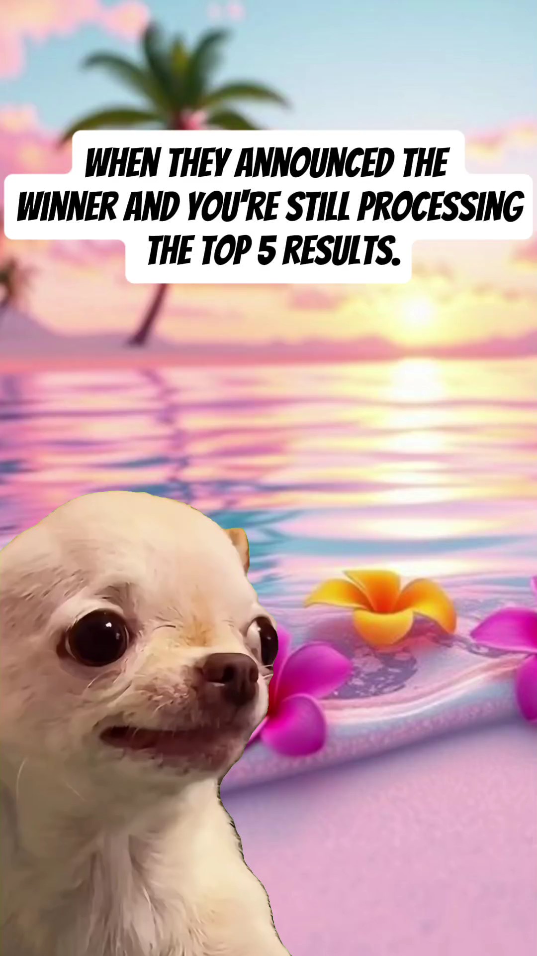Resultado de Miss U