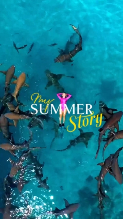 my summer story