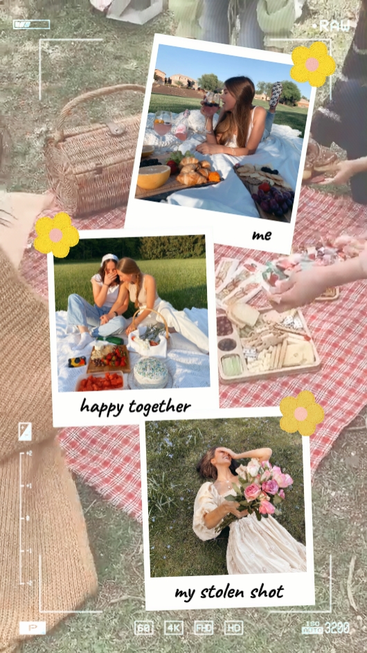 picnic vibe