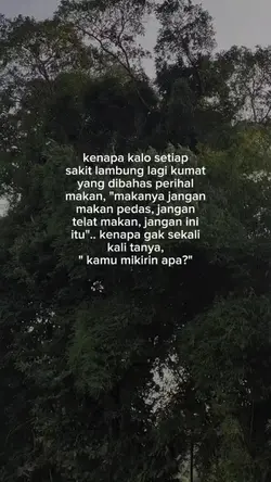 buat sw | Lambung