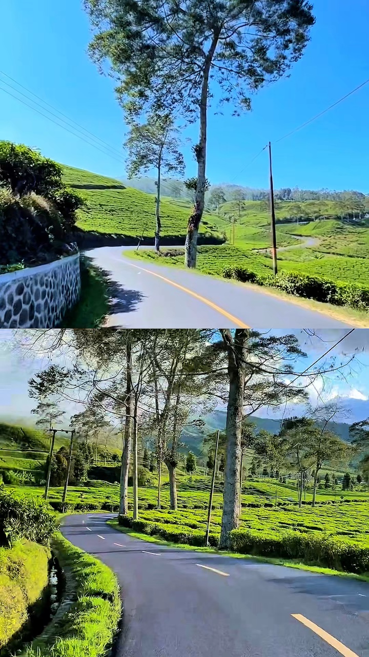 2 video 1 layout 