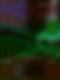 pvp bloxfruit