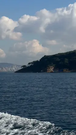 Yeni şablon