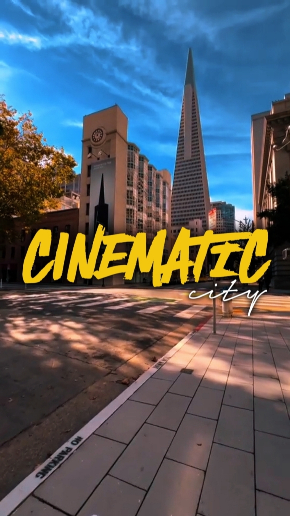 CINEMATIC CITY