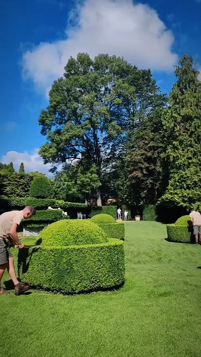Jardinagem