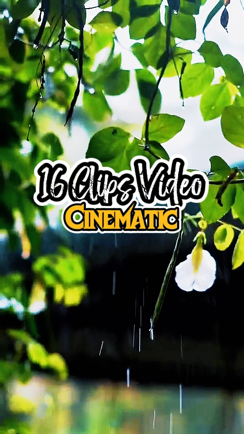 16 Clips Vidéo