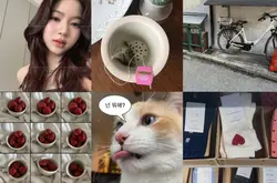 daily grid