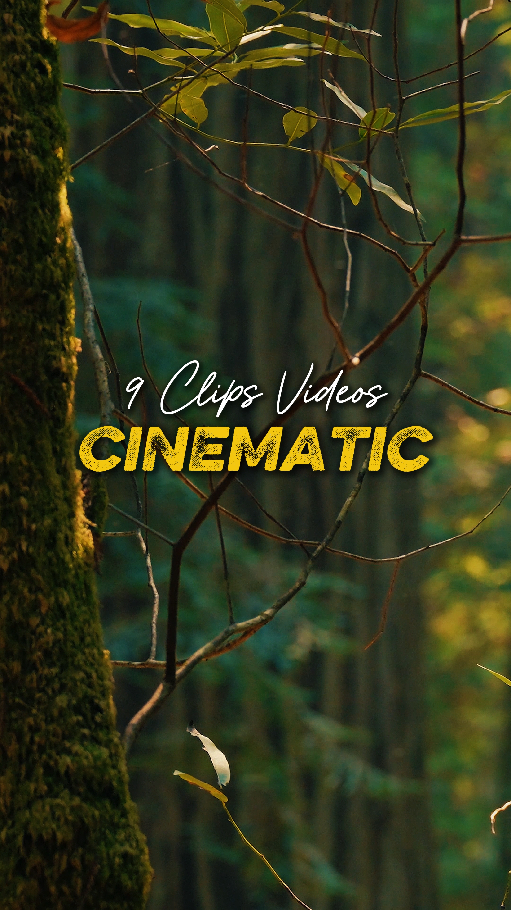 Cinematográfica 9 Vídeos