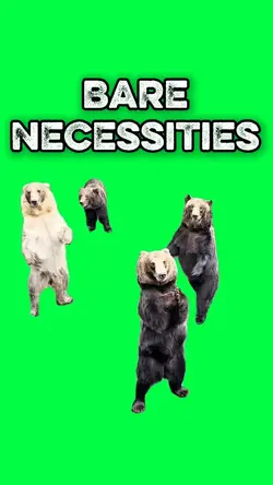 BEAR NECESSITIES