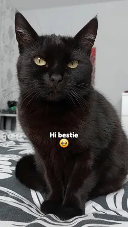 Hi bestie!
