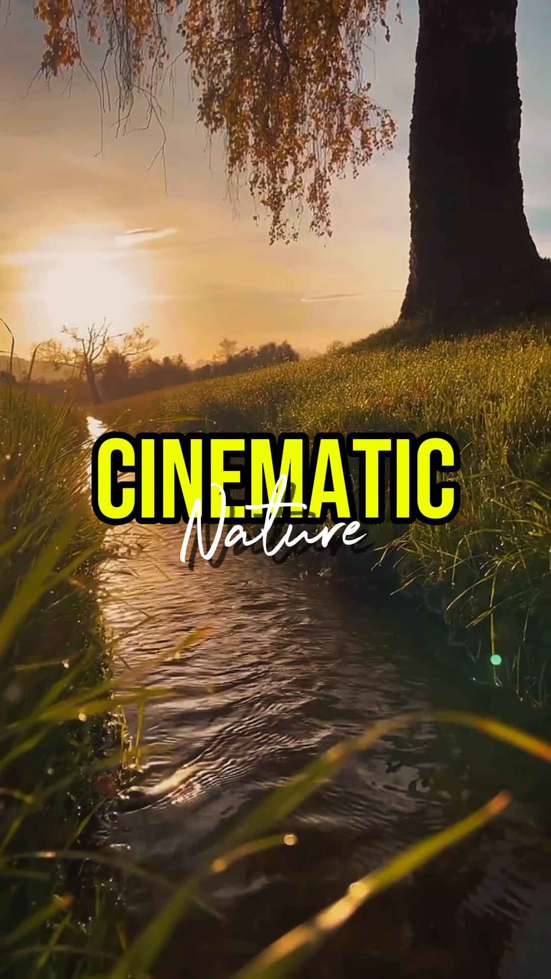 NATURE CINEMATIC
