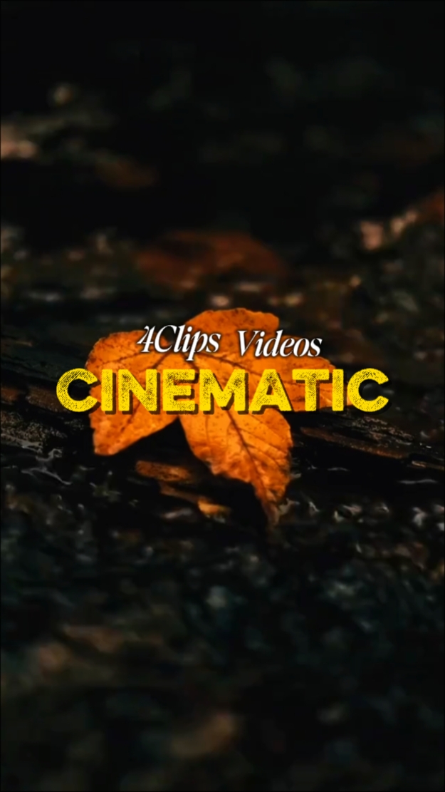 Cinematic Aesthetic