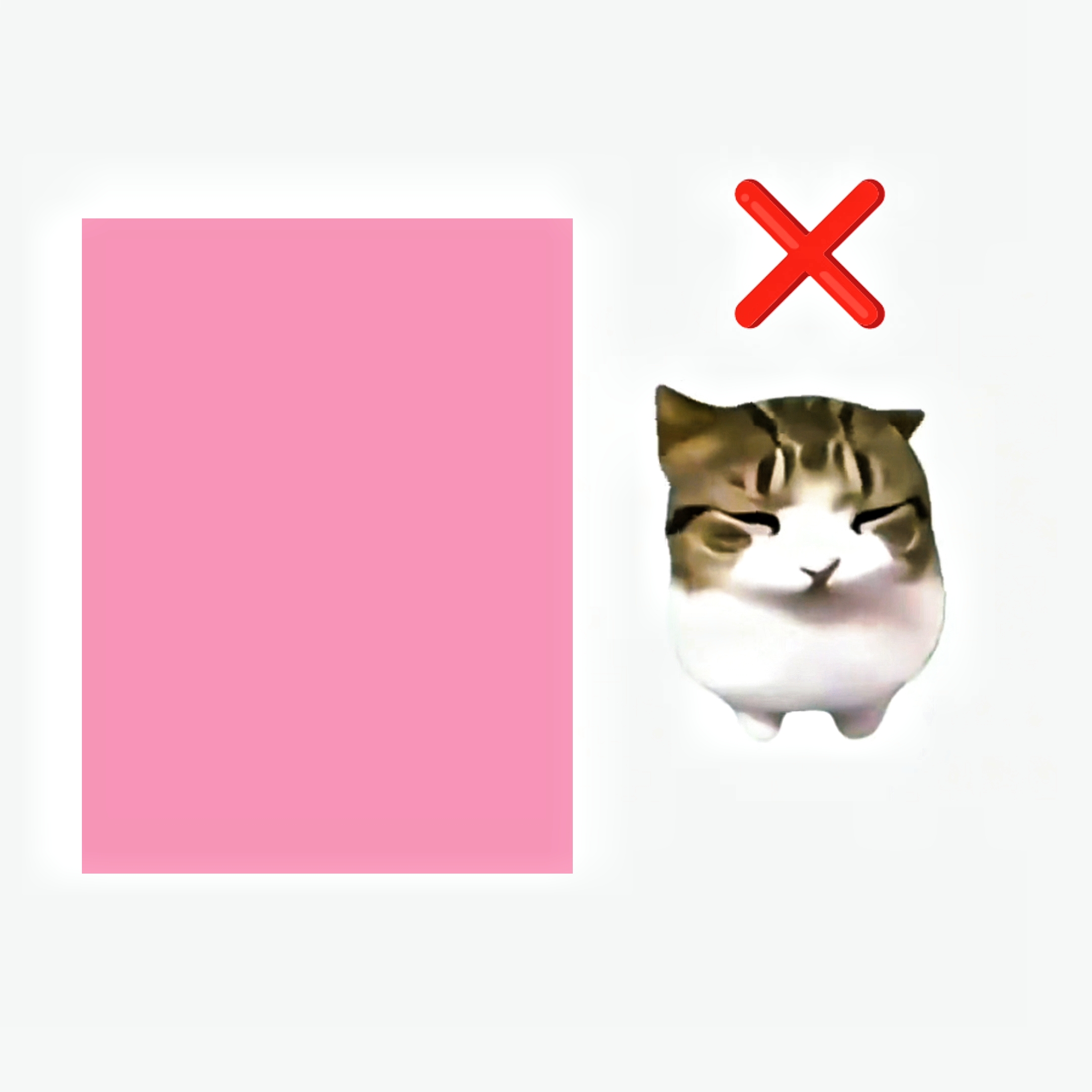 댐 디디디