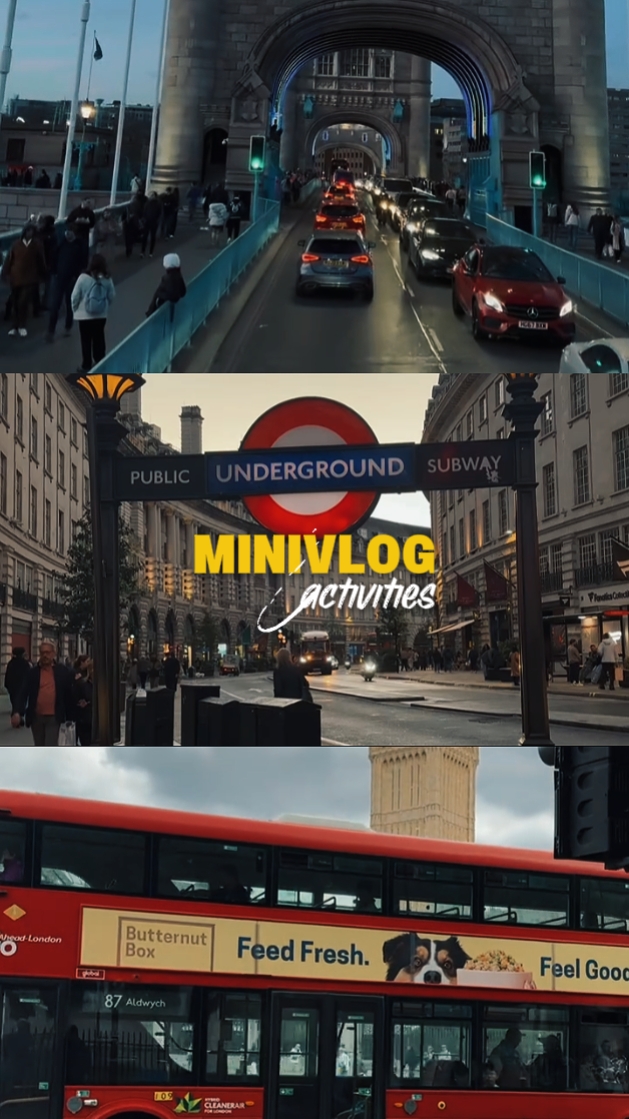 MINIVLOG faaliyetleri