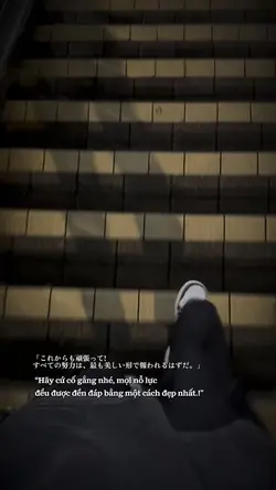 Hãy cứ cố gắng