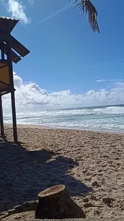sal e mar 
