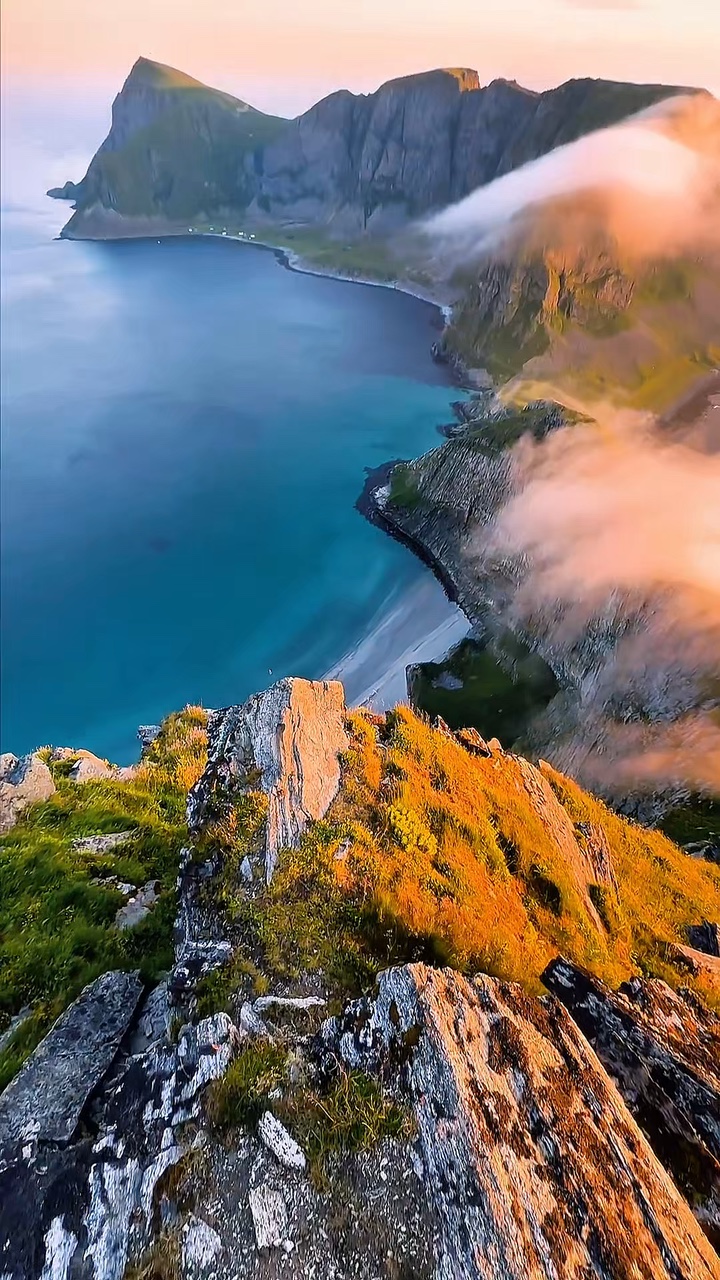4 video nature