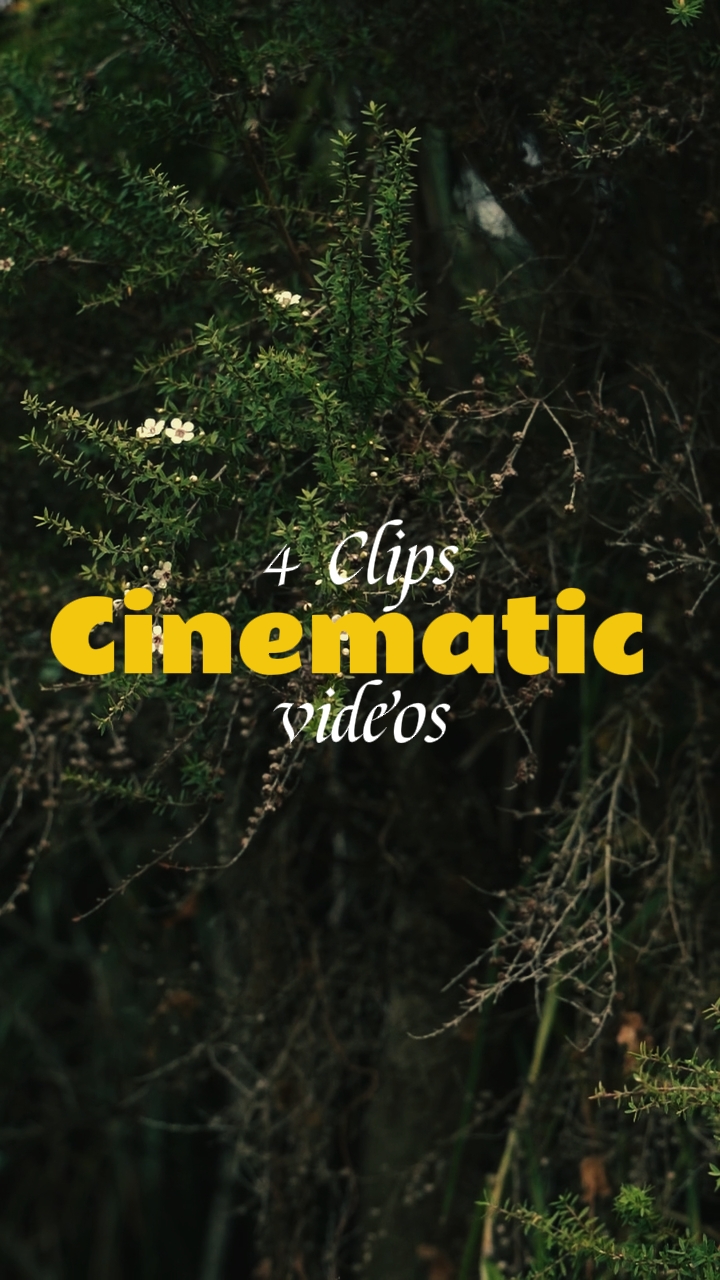 4 Clips Videos 