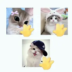 Hello hi cute