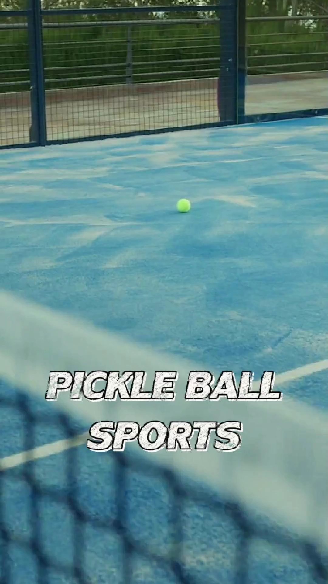 Pickle Ball Sports