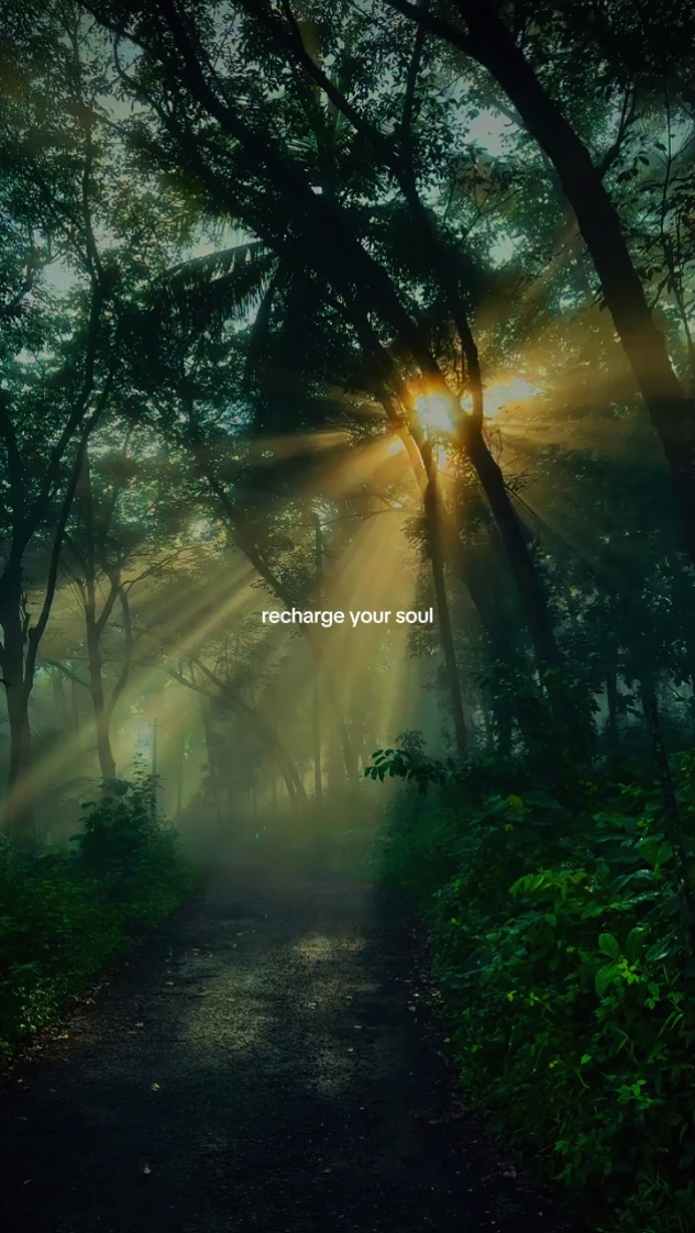 Recharge your soul 