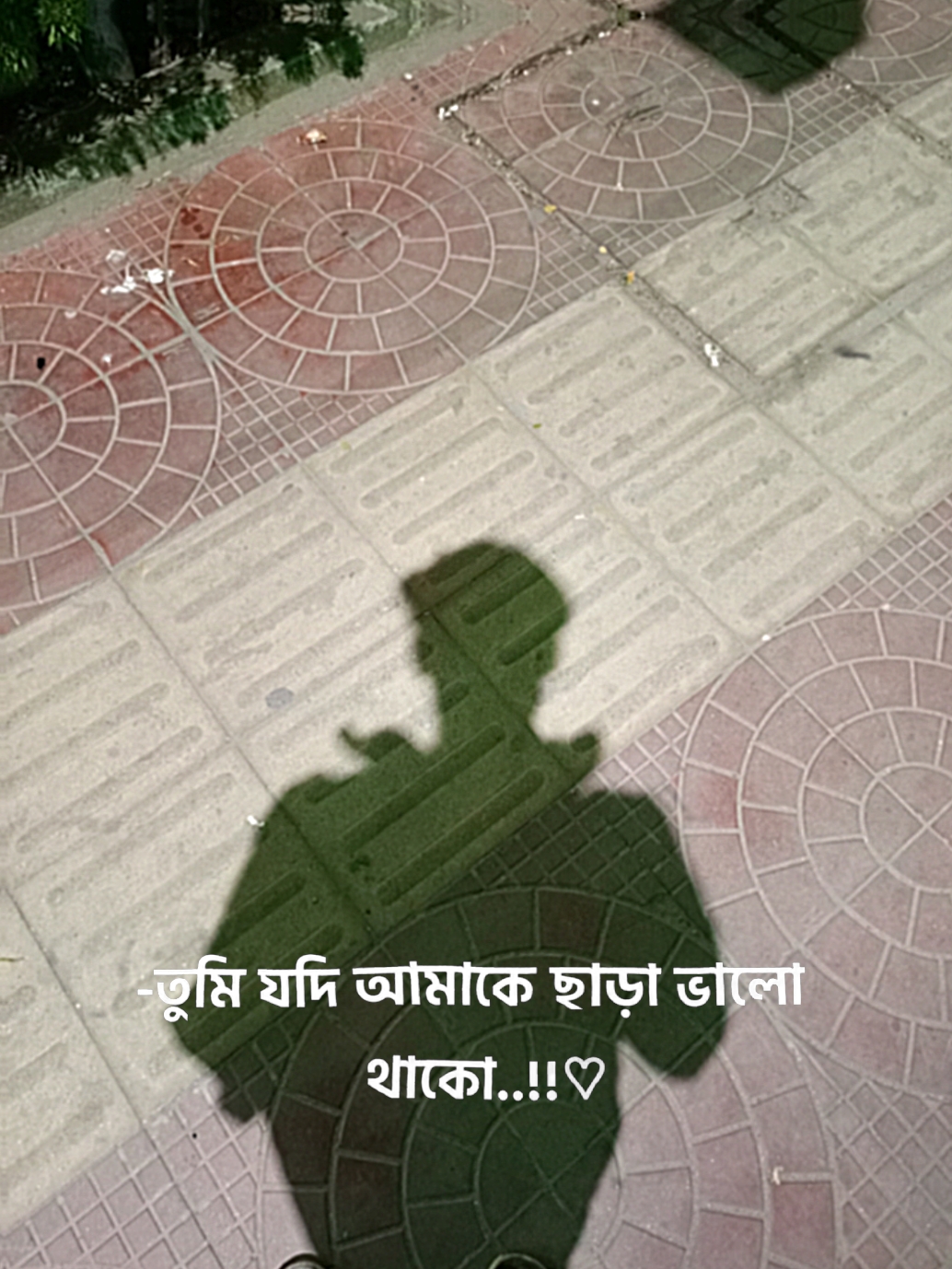তুমি যদি আমাকে ছাড়া