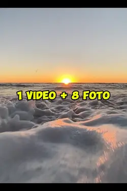 1 video 8 foto