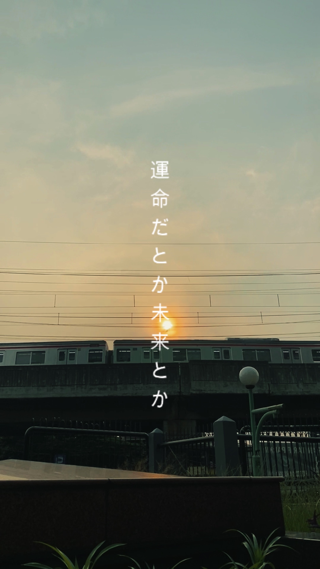 Jepang vibes