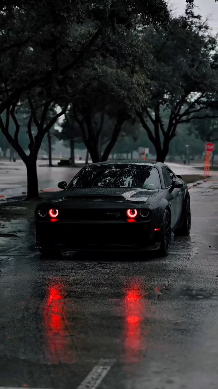 CAR [ TREND ]