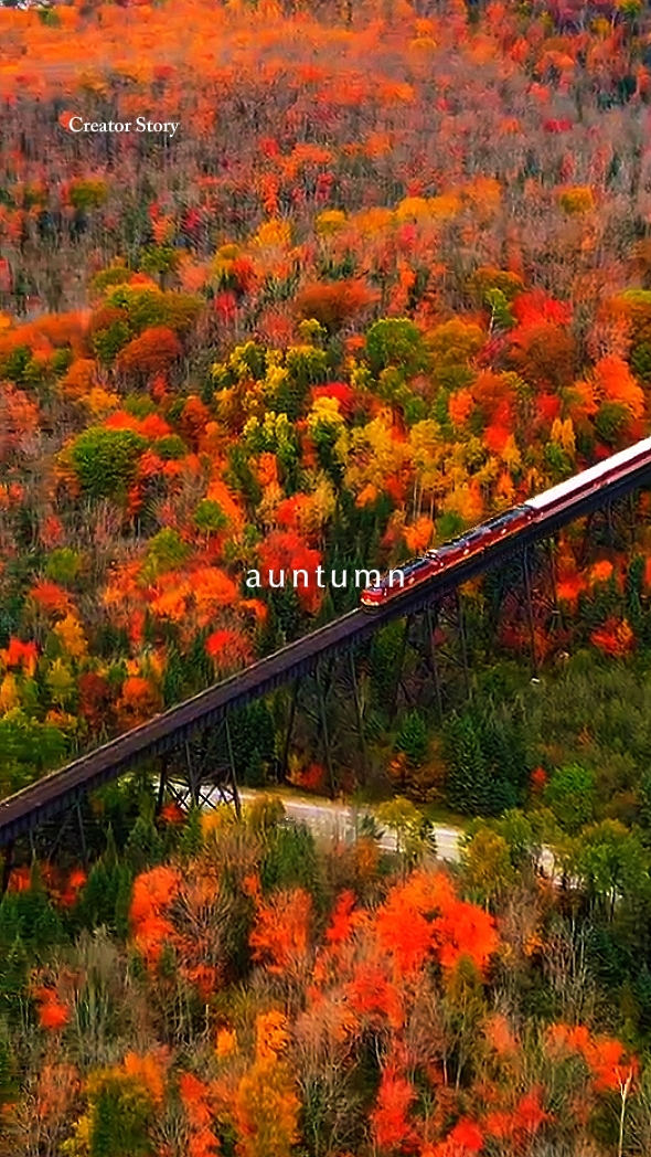 Autumn