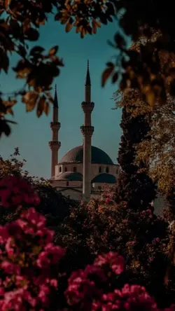 Bayram şablonu