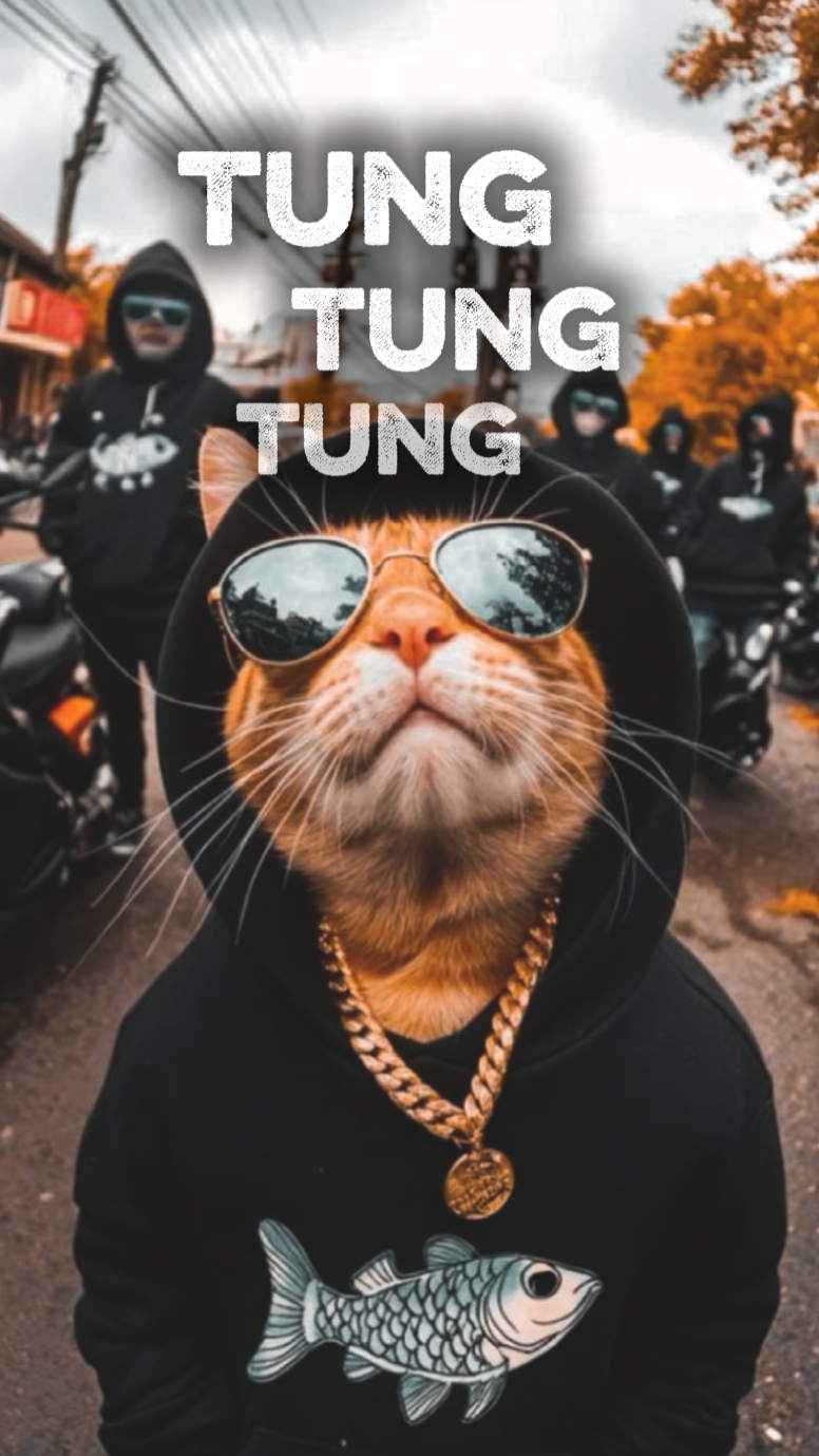 tung tung 1foto