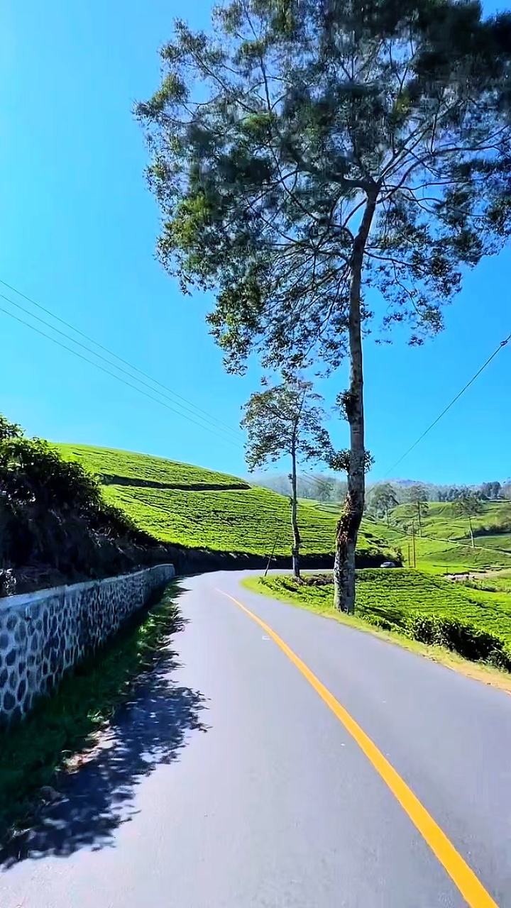 daily roadtrip