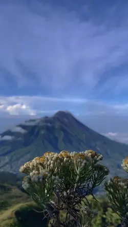 nature aesthetic