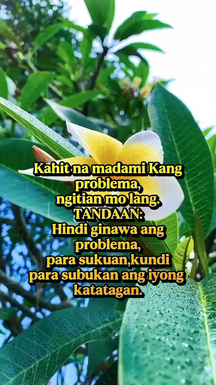 Ngitian mo lang