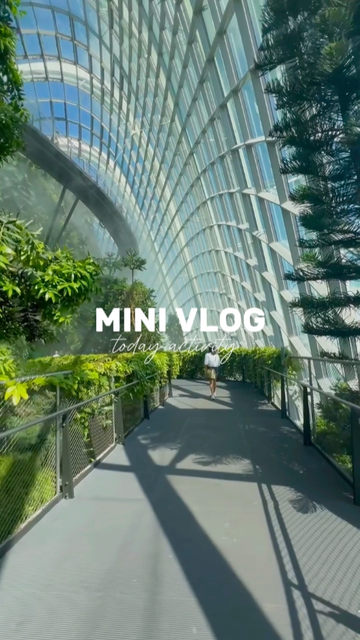 mini Vlog today 