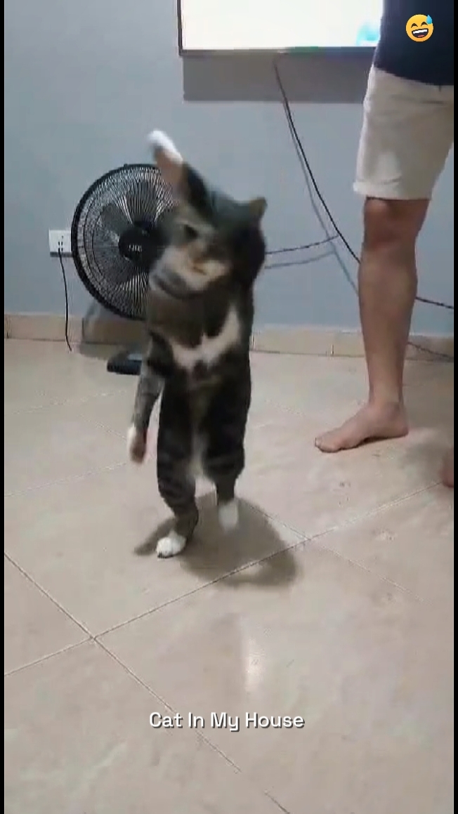 Esto es muy divertido 