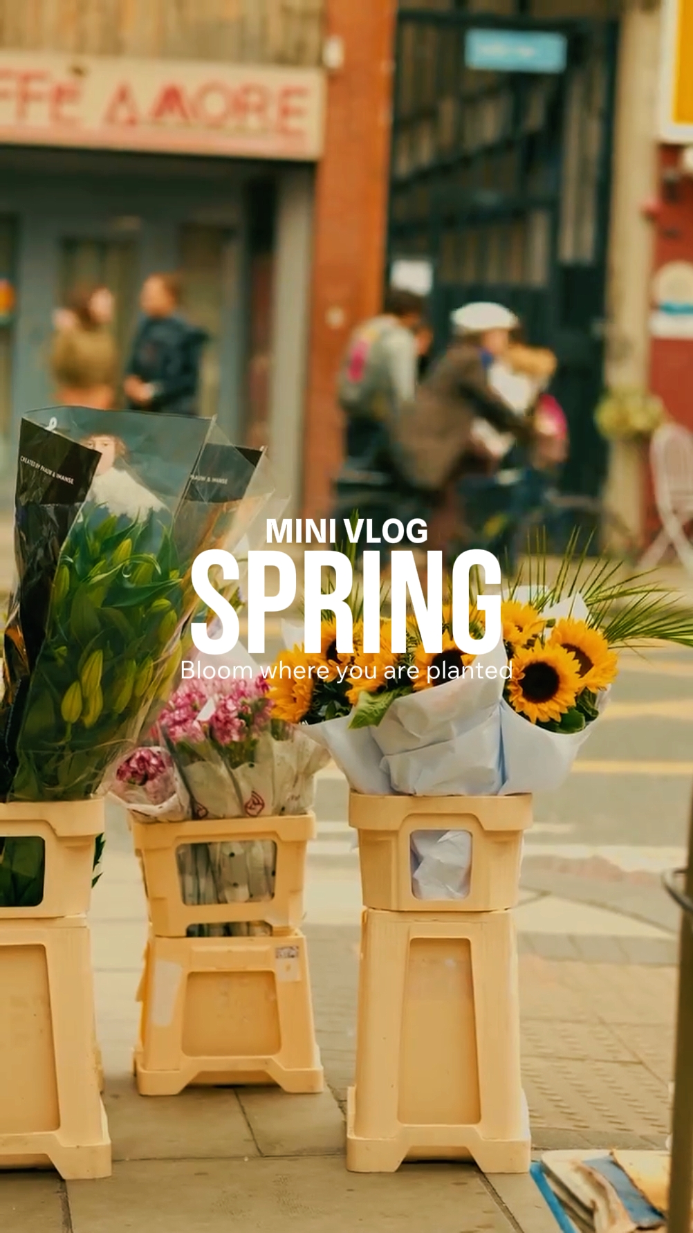 Frühlings-Vlog