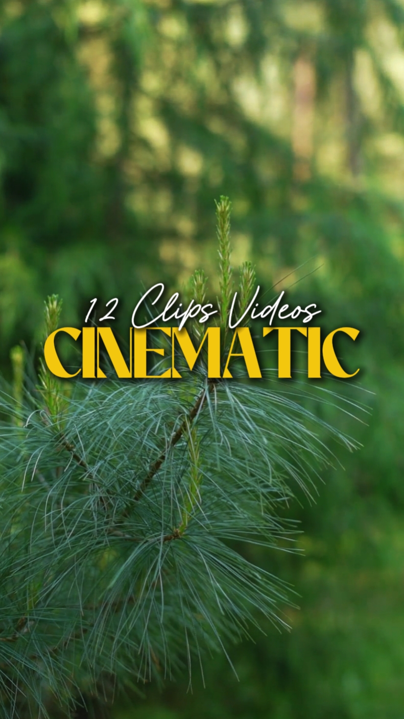 12 VIDEO KINEMATIK