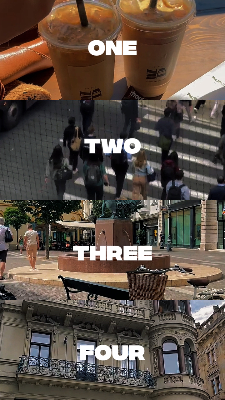 vlog dialy